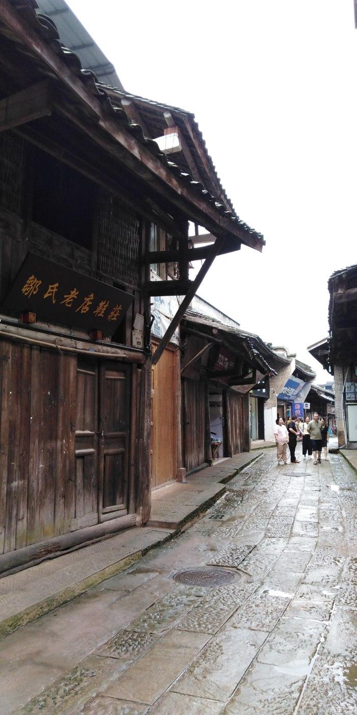 白化摇篮曲